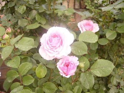 P1360393