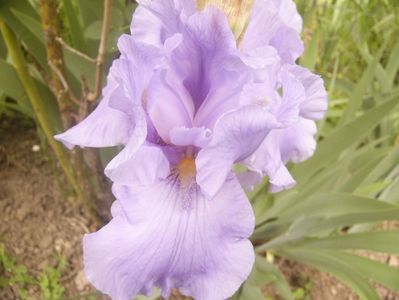 P1360405