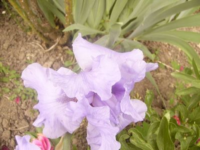 P1360407