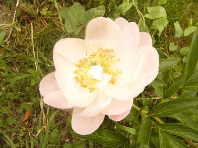 P1360410
