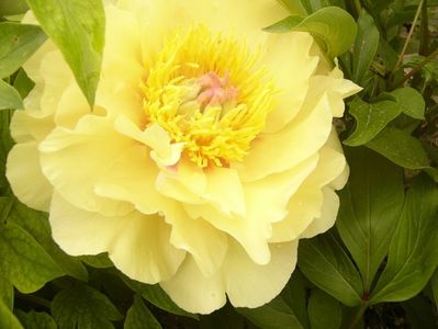 P1360437