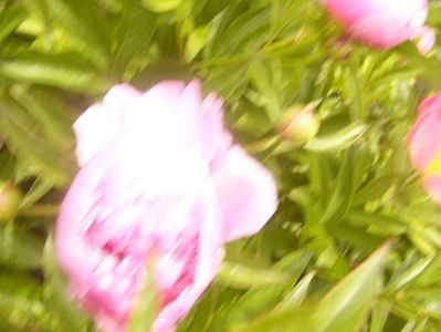 P1360455