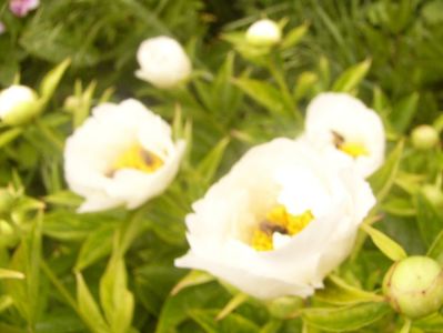P1360459