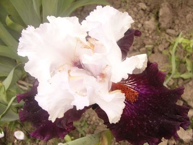 P1360474