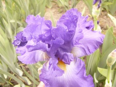 P1360485
