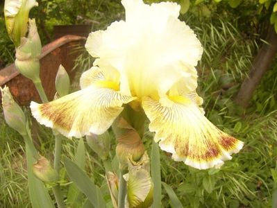 P1360500