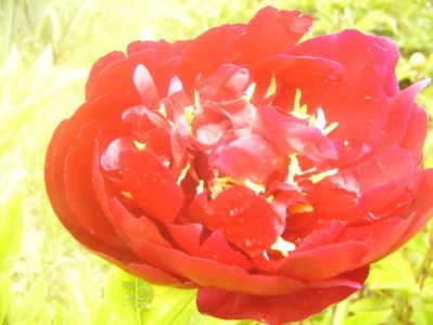 P1360505