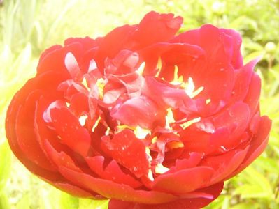 P1360506