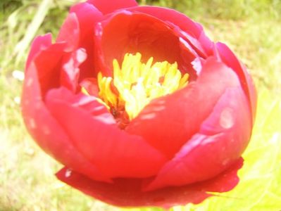 P1360511