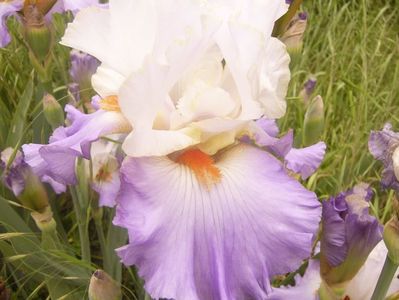 P1360524