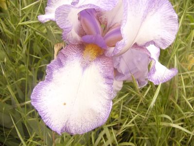 P1360546