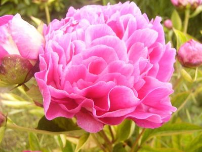 P1360553