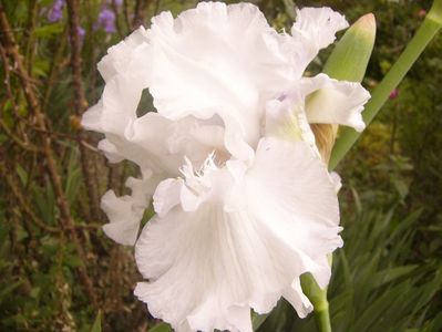 P1360569
