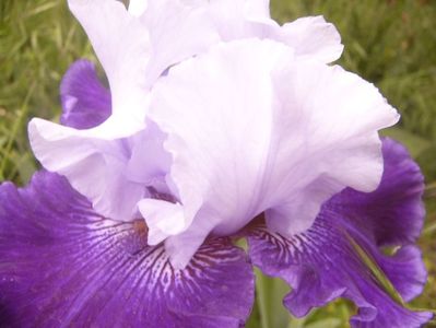 P1360575
