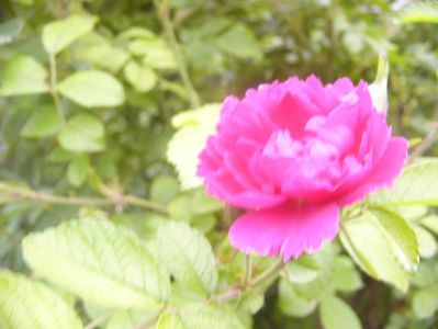 P1360593
