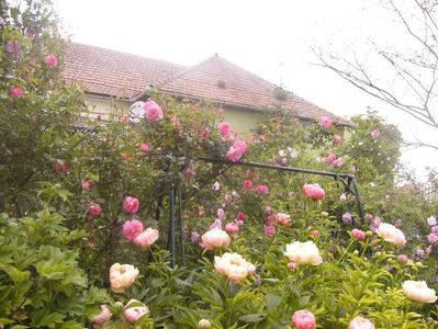 P1360594