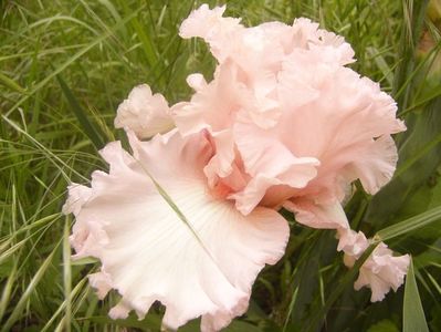 P1360598