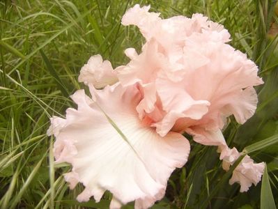 P1360599