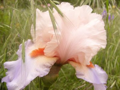 P1360600