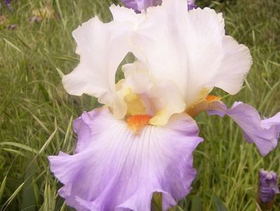 P1360606