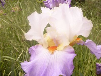 P1360607