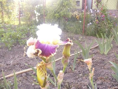 P1360691