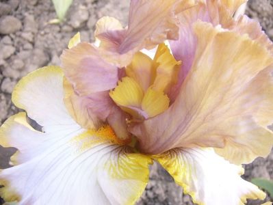 P1360692