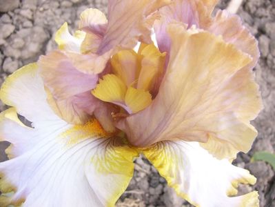 P1360693