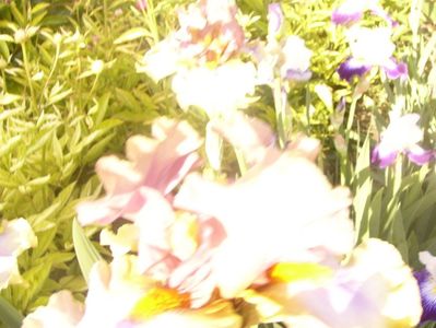 P1360719