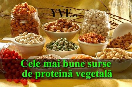 proteina vegetala