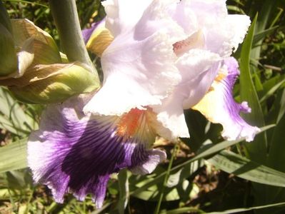 P1360762