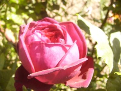 P1360778