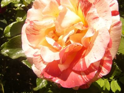 P1360828