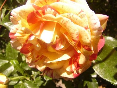 P1360831