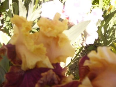 P1360873