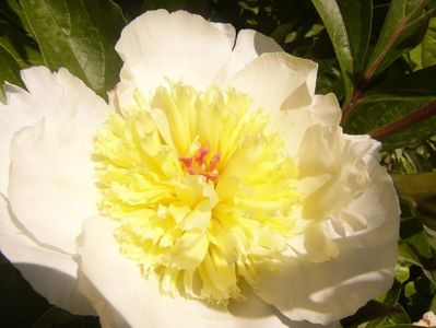 P1360900