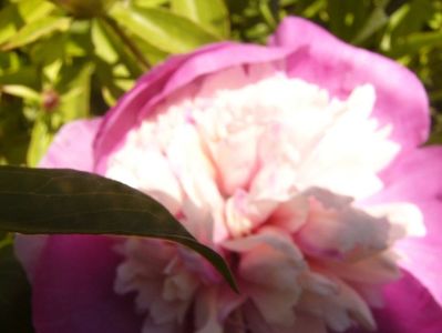 P1370012