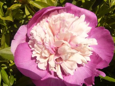 P1370014