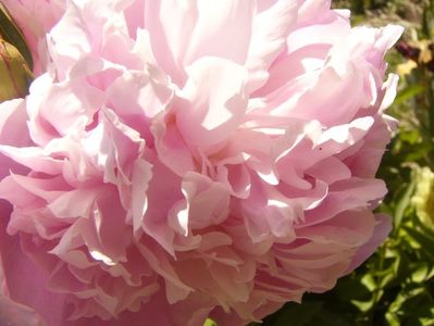P1370046