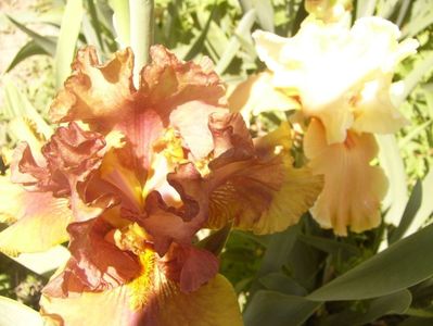 P1370058