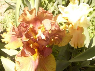 P1370060