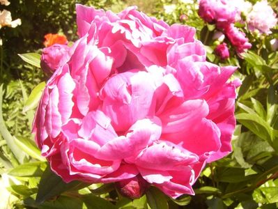P1370063