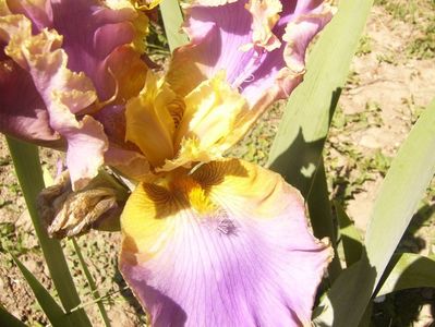 P1370065