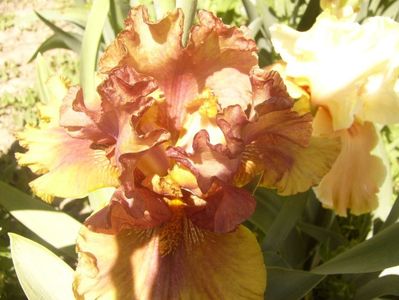 P1370066