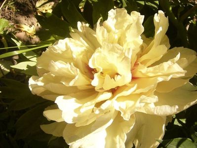 P1370082