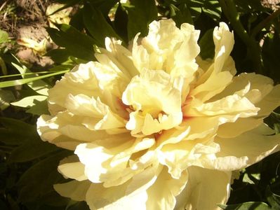 P1370083
