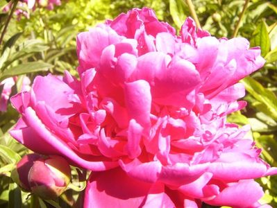 P1370084