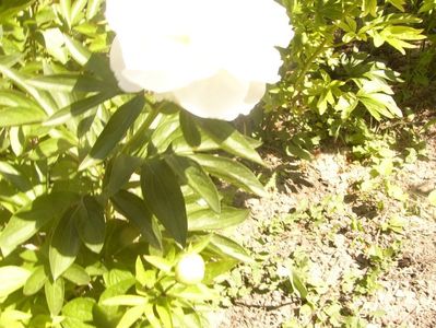 P1370096