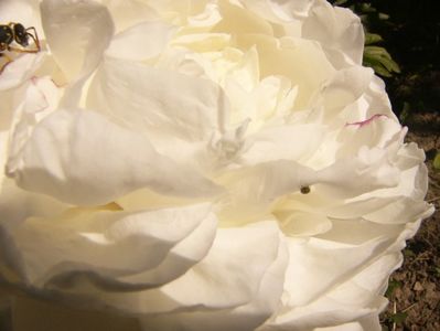 P1370098