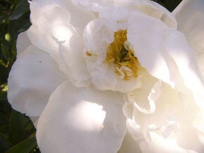 P1370108